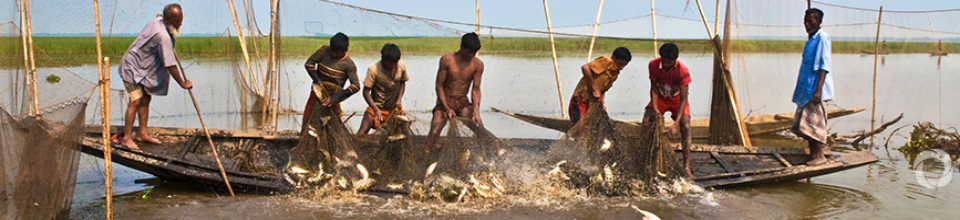 মধুমতি নদী