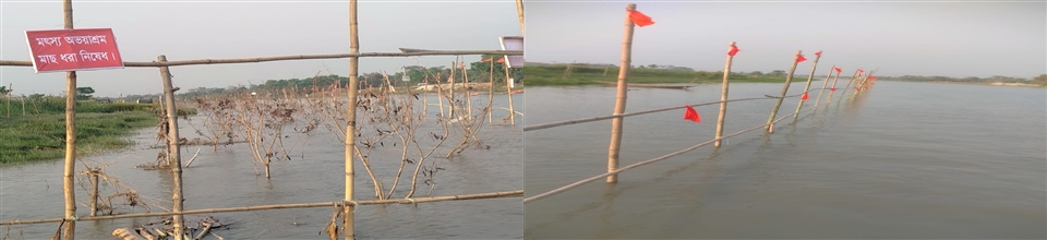 মৎস্য অভয়াশ্রম