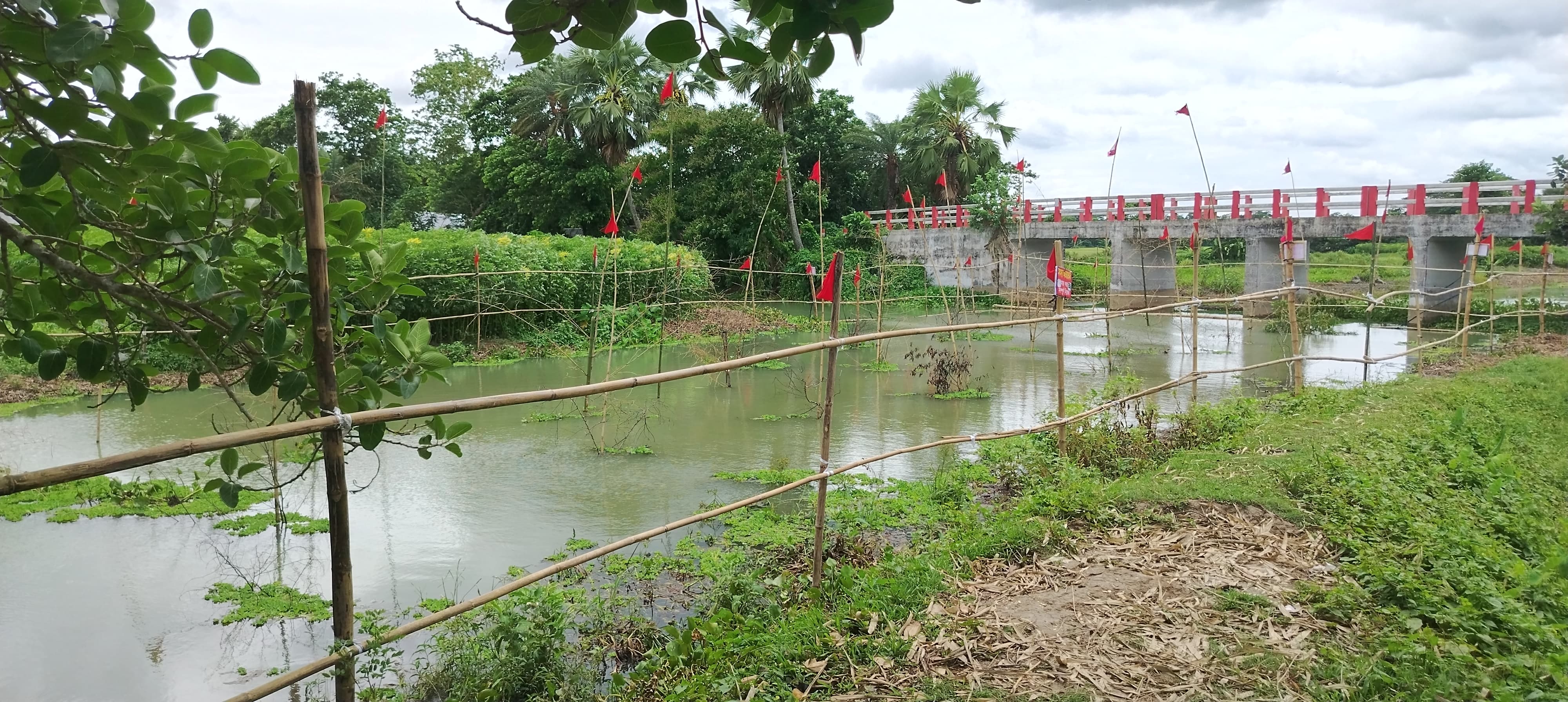 মৎস্য অভয়াশ্রম