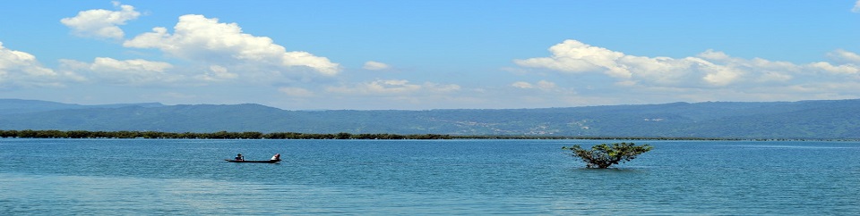 ব্যানার