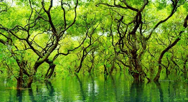 ব্যানার
