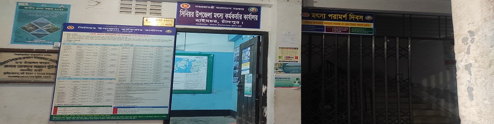 সিনিয়র উপজেলা মৎস্য কর্মকর্তার কার্যালয়, হাইমচর, চাঁদপুর।