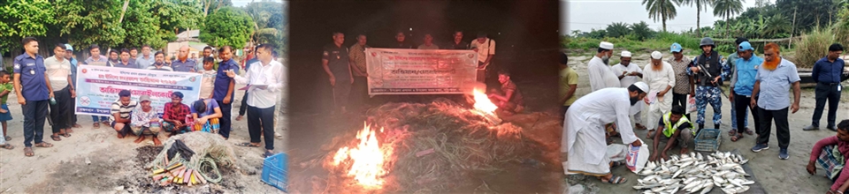 মা ইলিশ রক্ষা কার্যক্রম ২০২৪ বাস্তবায়নে মৎস্য সংরক্ষণ আইন ১৯৫০ এর অধীনে অভিযান পরিচালনা