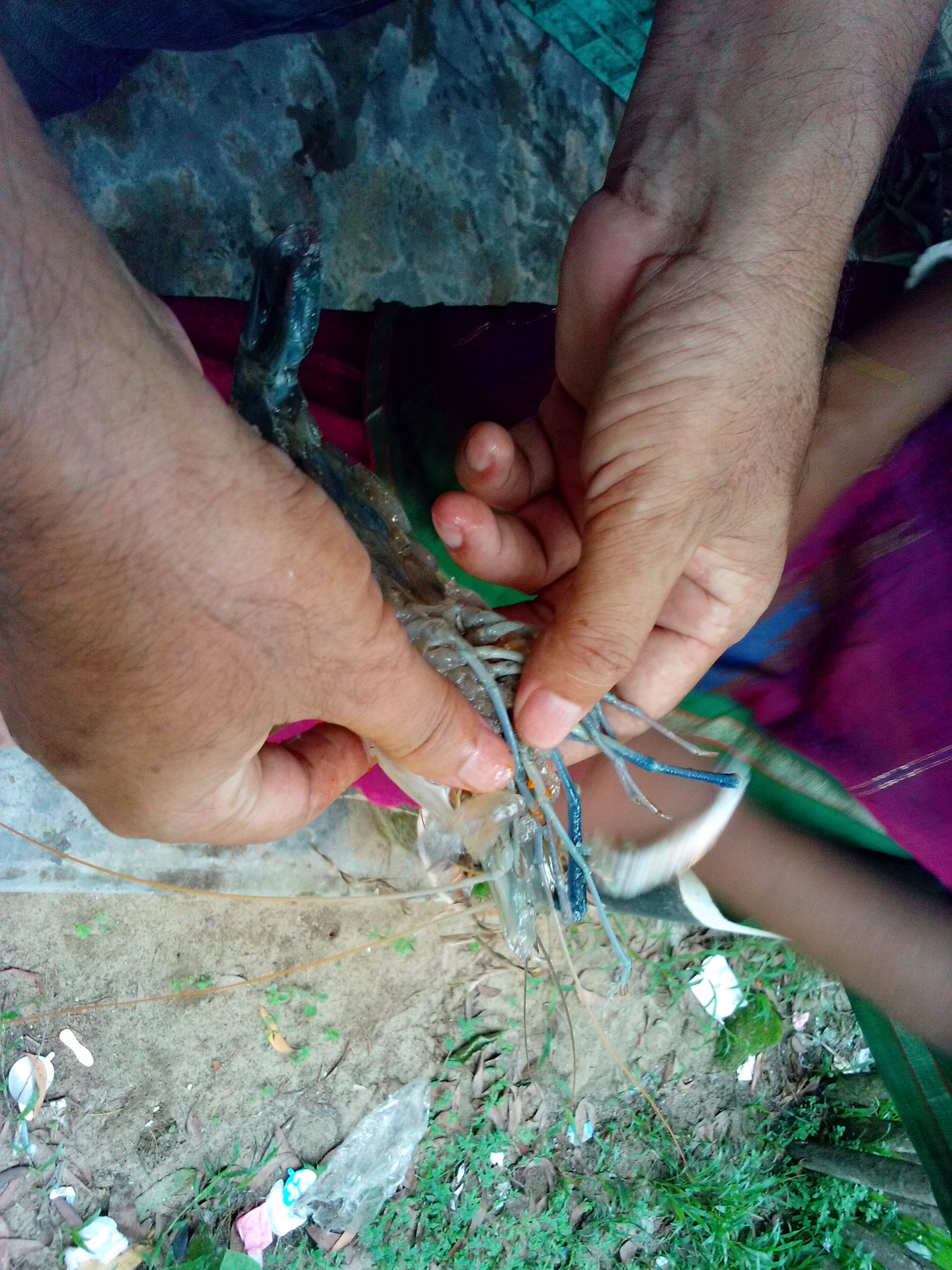 ই-সেবা কেন্দ্র, জেলা প্রশাসন