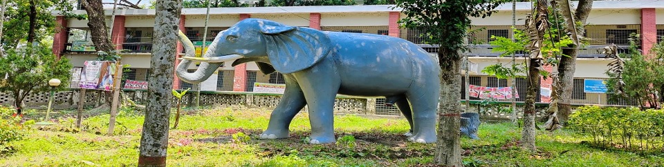 হাতীবান্ধা