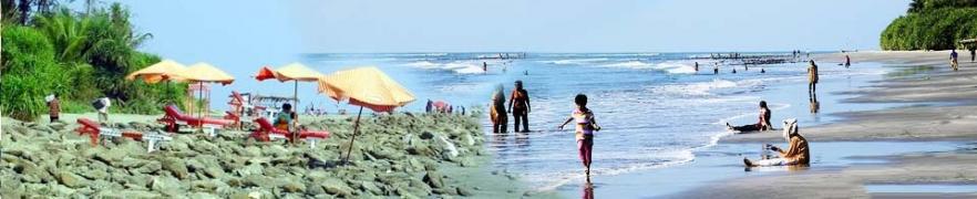 ফটো গ্যালারী