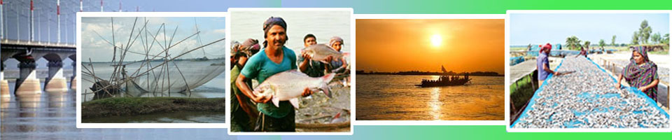 ব্যানার-৩