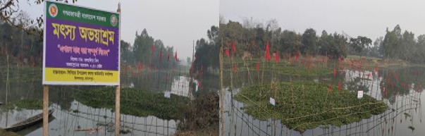 মৎস্য অভয়াশ্রম