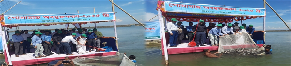 পোনা মাছ অভমুক্তকরণ