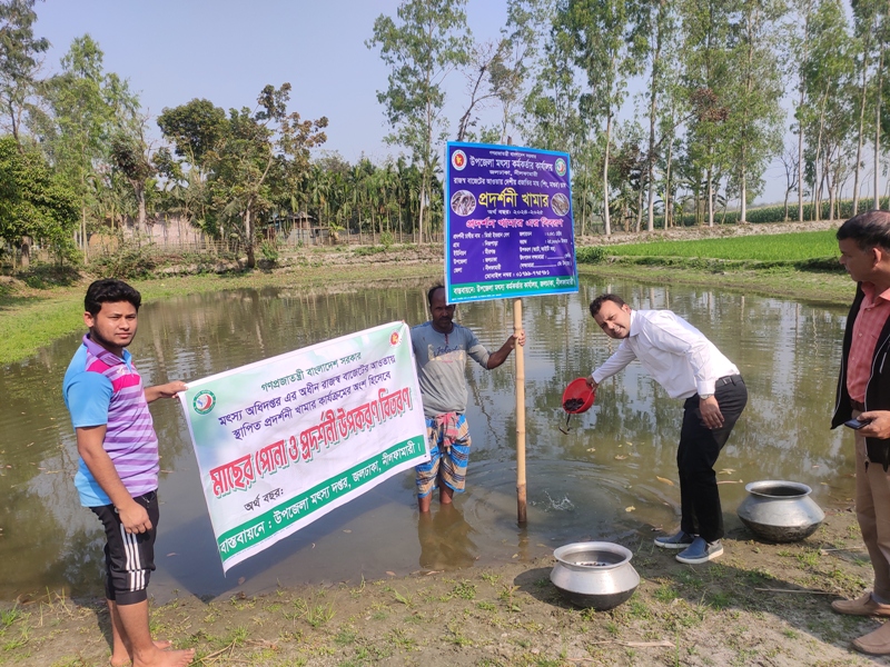 রাজস্ব বাজেটের আওতায় প্রদর্শনী পোনা বিতরণ ০২
