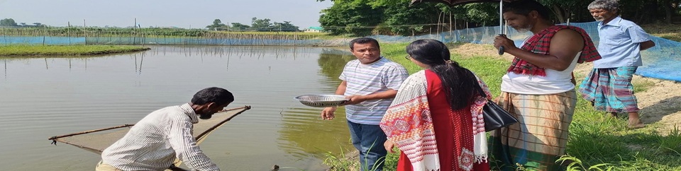 মাছের রেণু পোনা অবমুক্তকরণ