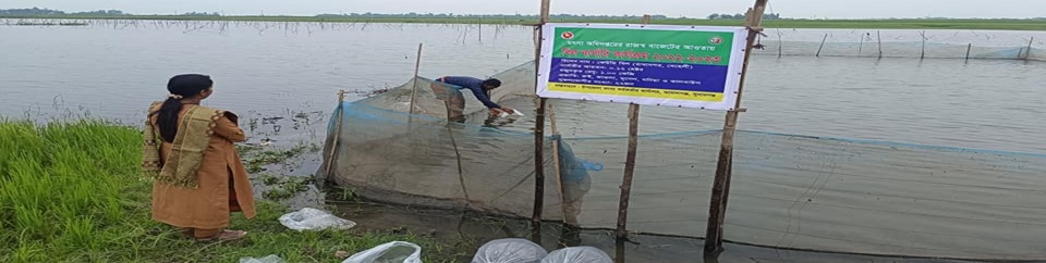 বিল নার্সারি