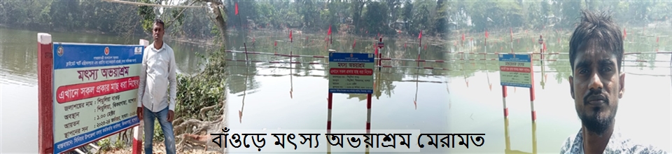 বাঁওড়ে মৎস্য অভয়াশ্রম মেরামত