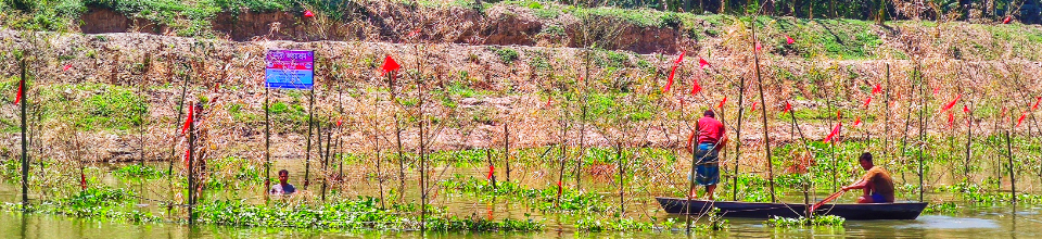 ব্যানার