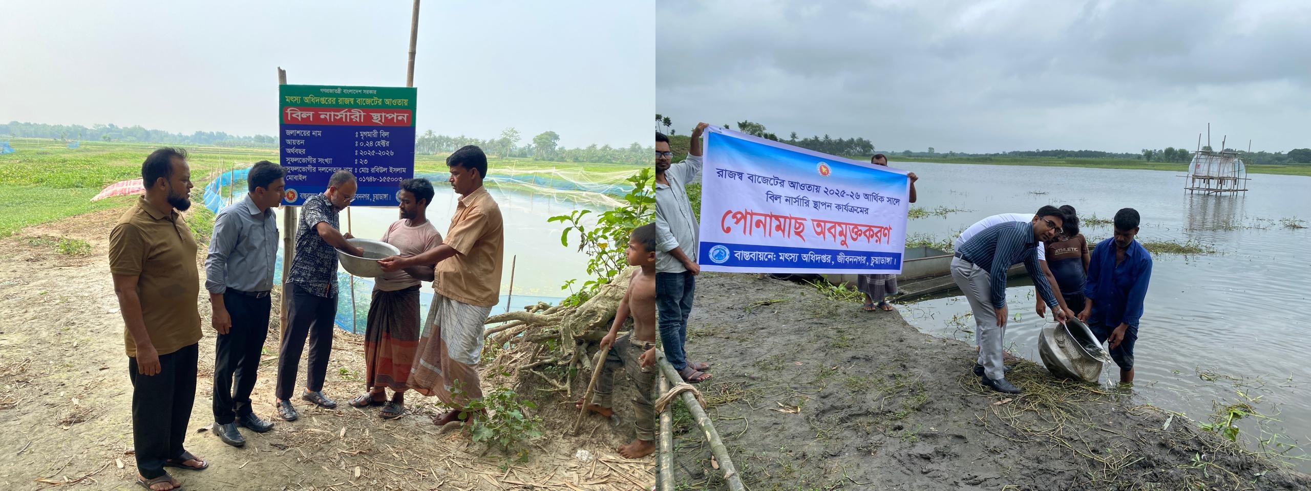 বিল নার্সারি