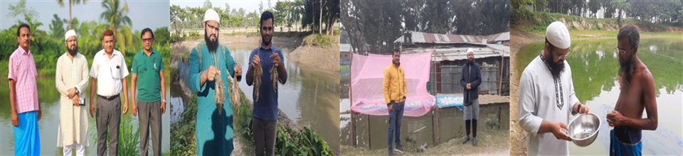 Nursery Pond-Dry Fish-Hatchery