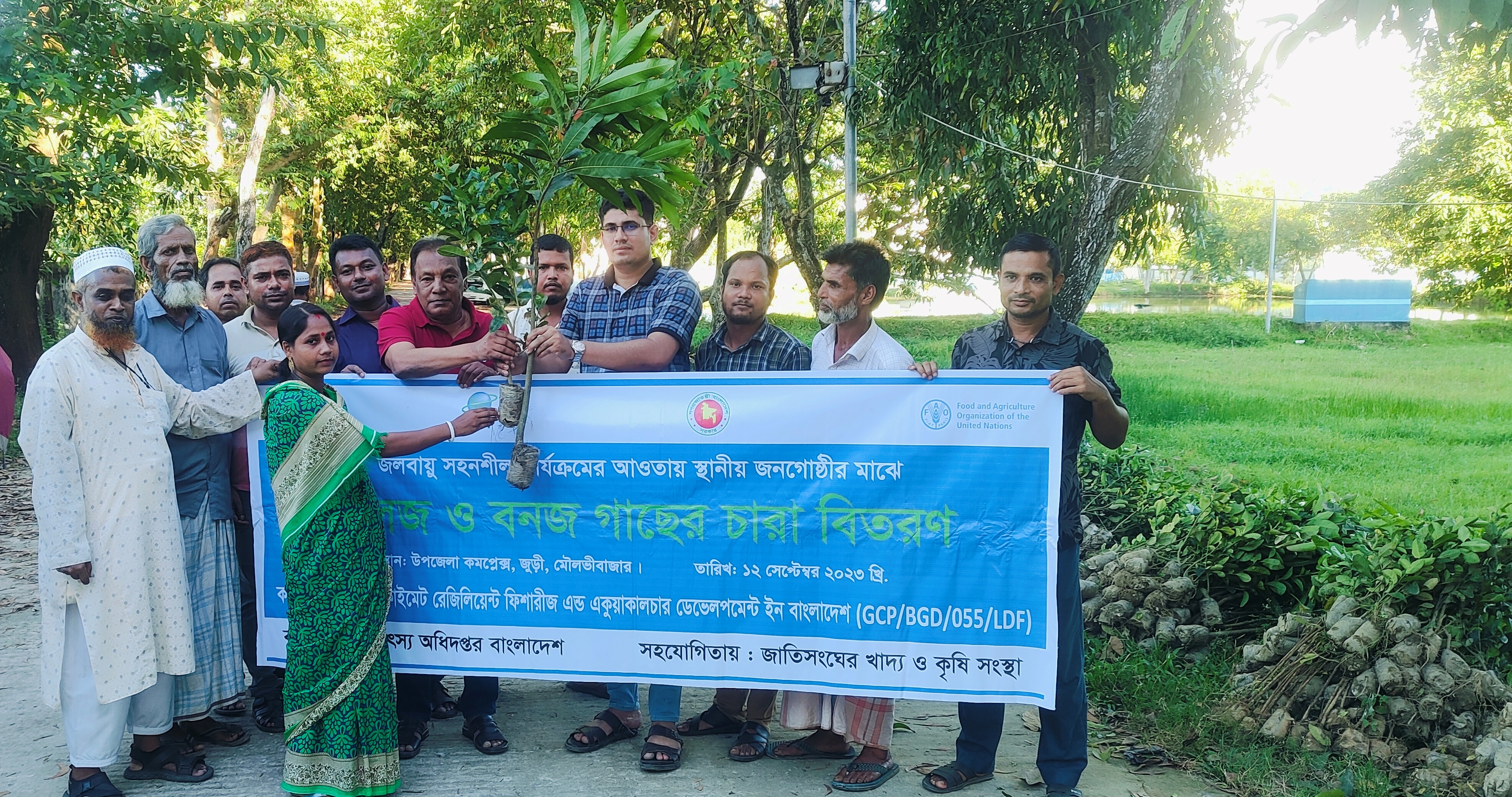 গাছের চারা বিতরণ