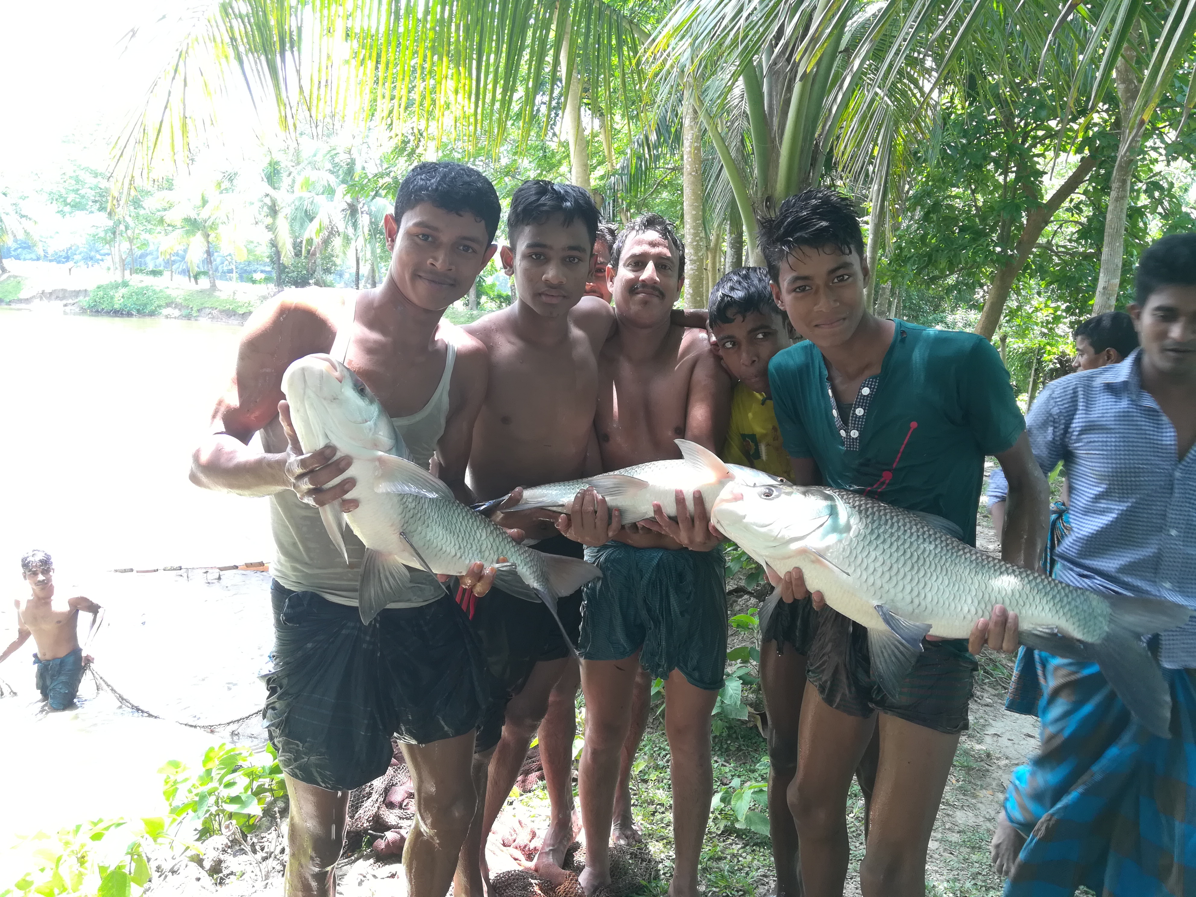 ই-সেবা কেন্দ্র, জেলা প্রশাসন