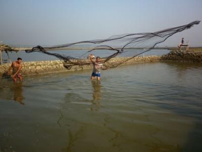 বাস্তবায়িত বিভিন্ন কার্যক্রমের ছবি