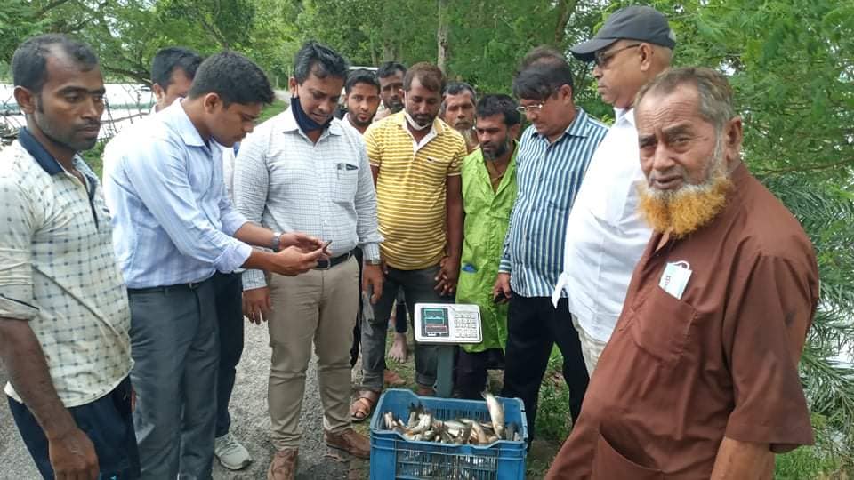 Service Process Simplification