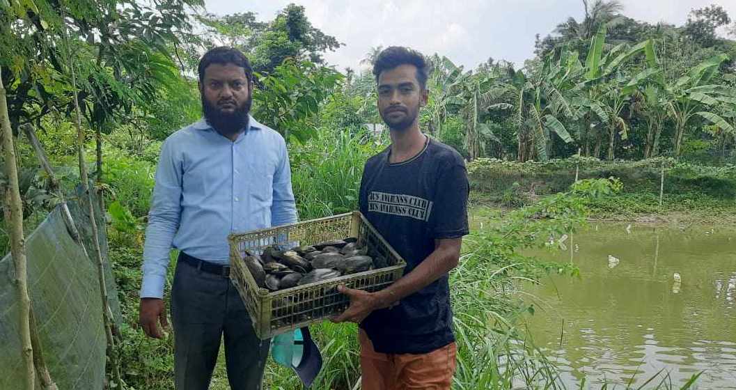 মুক্তা চাষ