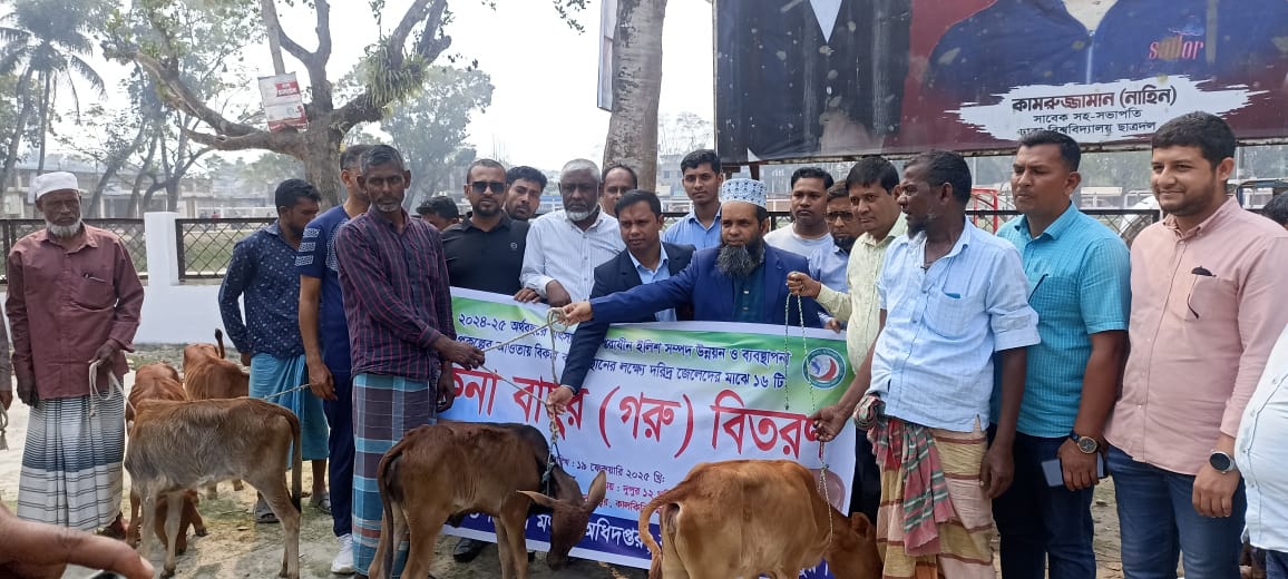 ইলিশ সম্পদ উন্নয়ন ও ব্যবস্থাপনা প্রকল্পের আওতায় দরিদ্র জেলেদের এআইজিএ বকনা বাছুর (গরু) বিতরণ