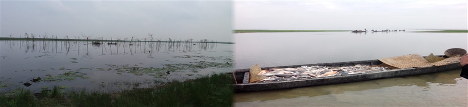 অভয়াশ্রম ও উন্মুক্ত জলাশয়