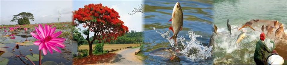 উপজেলা মৎস্য অফিস, কালুখালী, রাজবাড়ী।