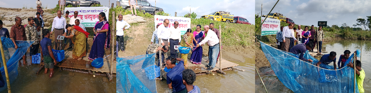 পোনা অবমুক্তি ২০২৪-২৫