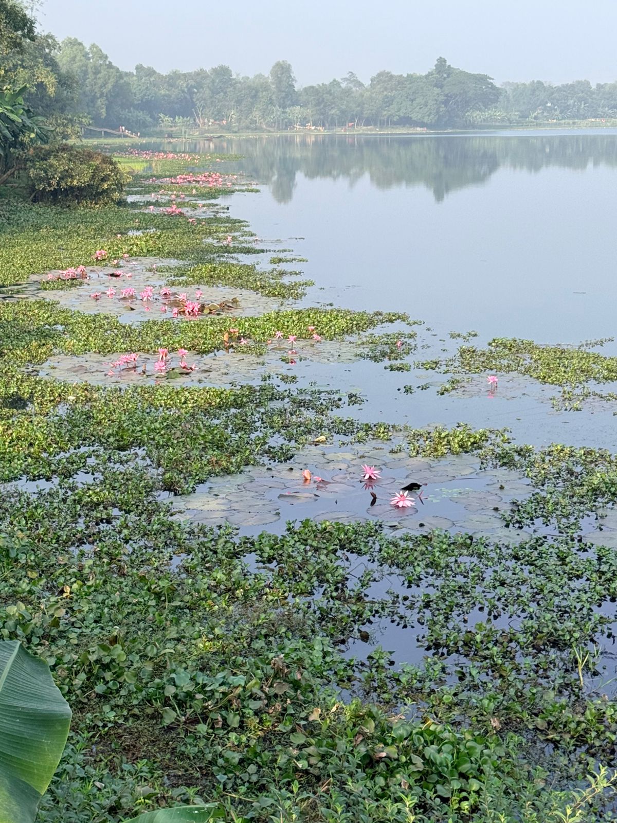 জলমহাল পরিদর্শন