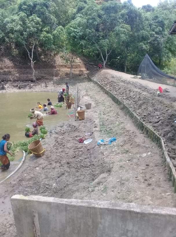 নিপূণ তঞ্চঙ্গ্যার ক্রিক, ওয়াগ্গা, কাপ্তাই (মেরামত ও সংস্কারের পরের ছবি)