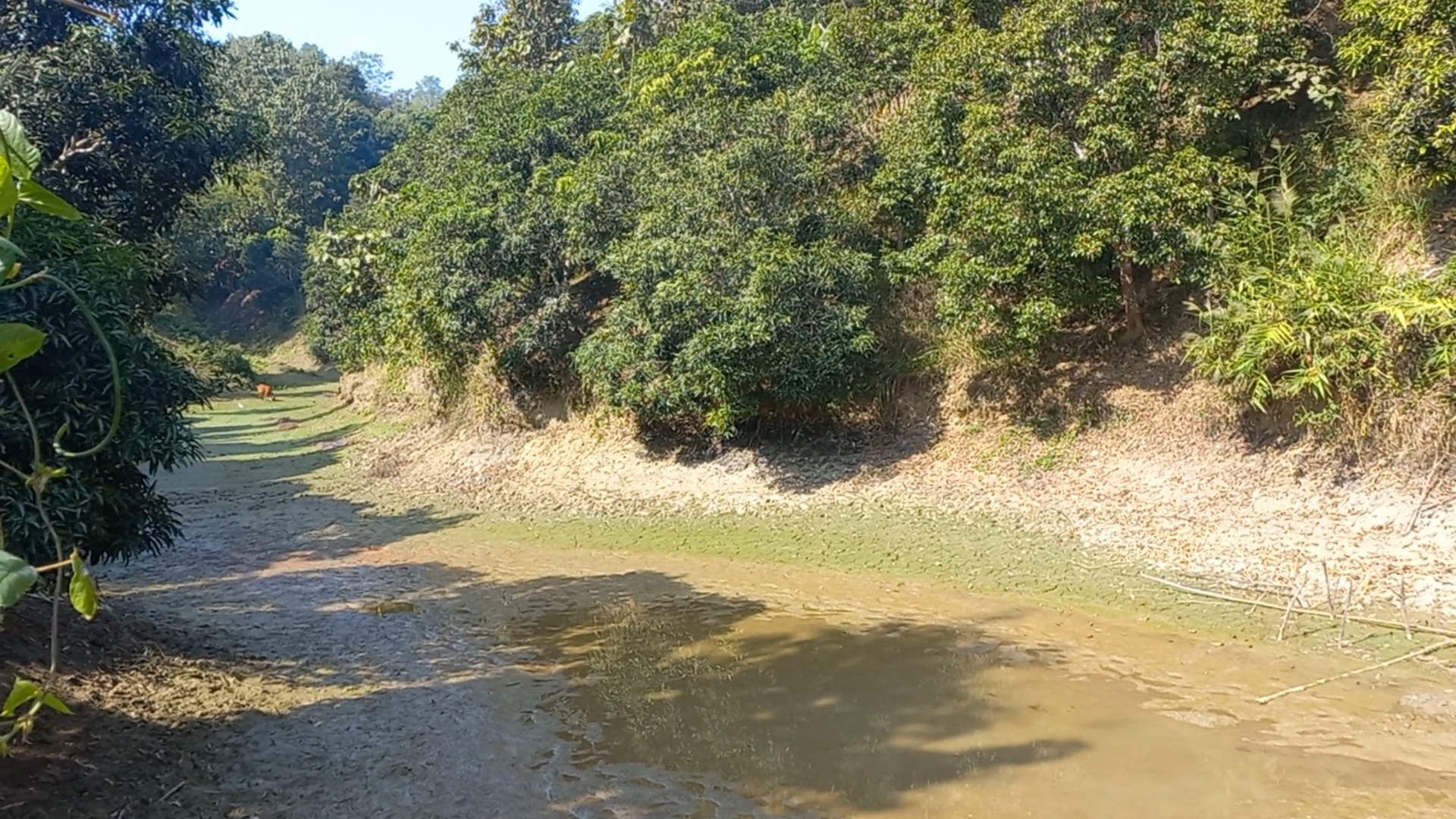 শুশীল তালুকদার এর ক্রিক, ওয়াগ্গা, কাপ্তাই (মেরামত ও সংস্কারের পূর্বের ছবি)