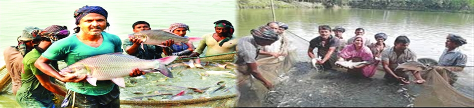 ব্যানার-৩