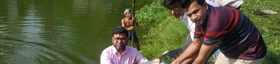 বিল নার্সারিতে উৎপাদিত পোনার নমুনায়ন