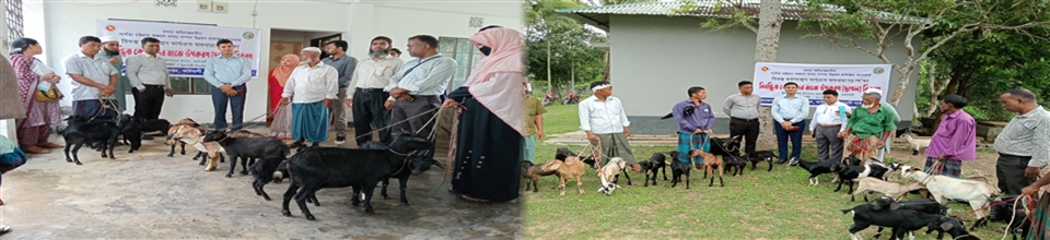 দরিদ্র মৎস্যজীবীদের মাঝে এআইজিএ বিতরণ ২০২৫