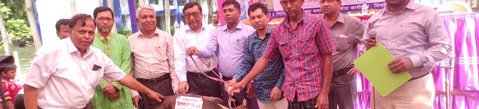 জেলেদের বিকল্প কর্মসংস্থান