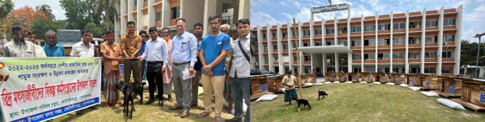 ব্যানার-৪