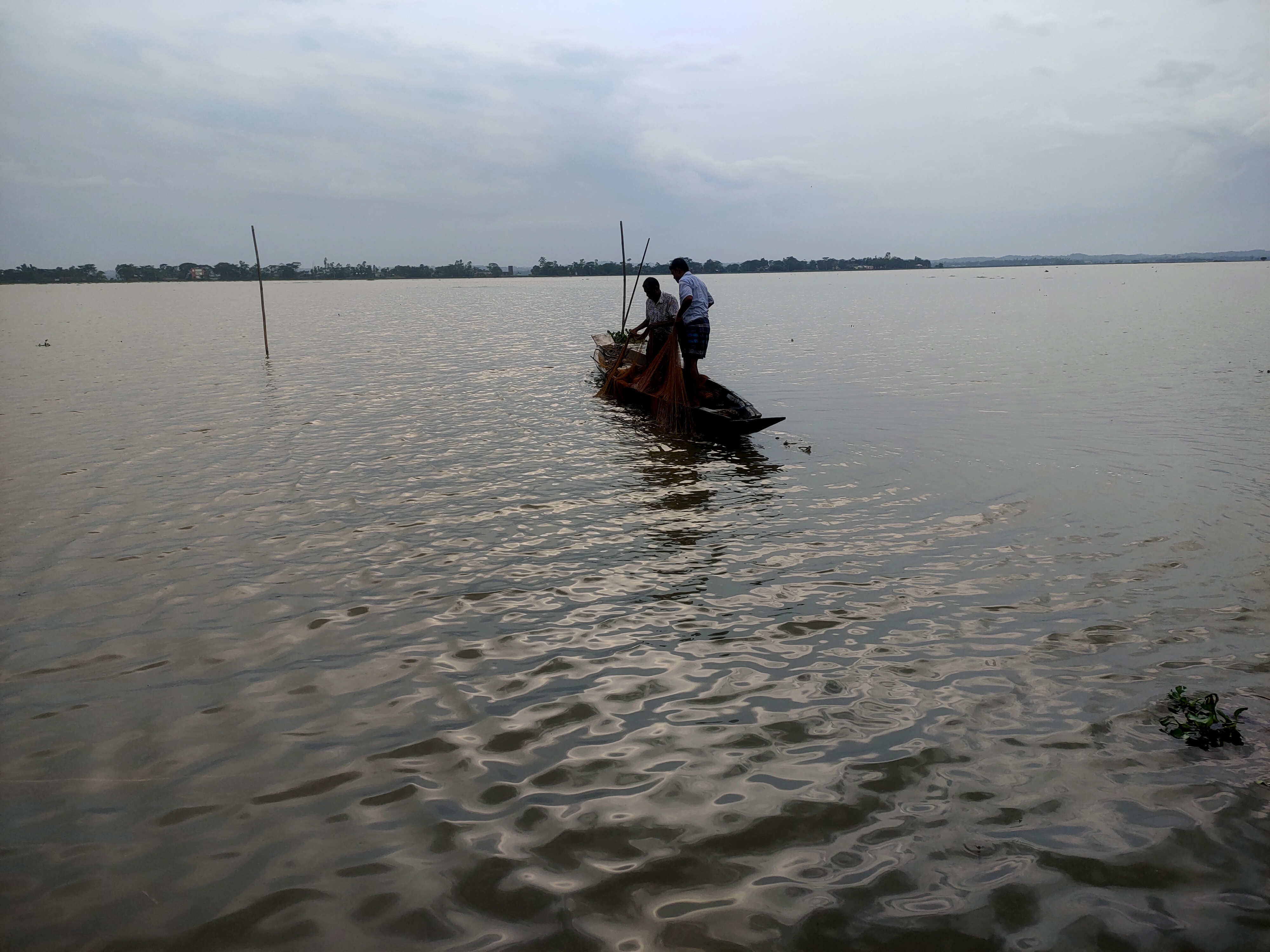 ফটোগ্যালারি