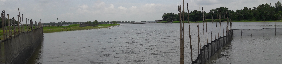 পেন কালচার