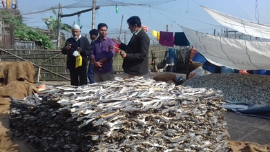 dry fish