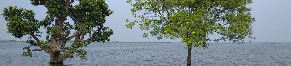 হাওর