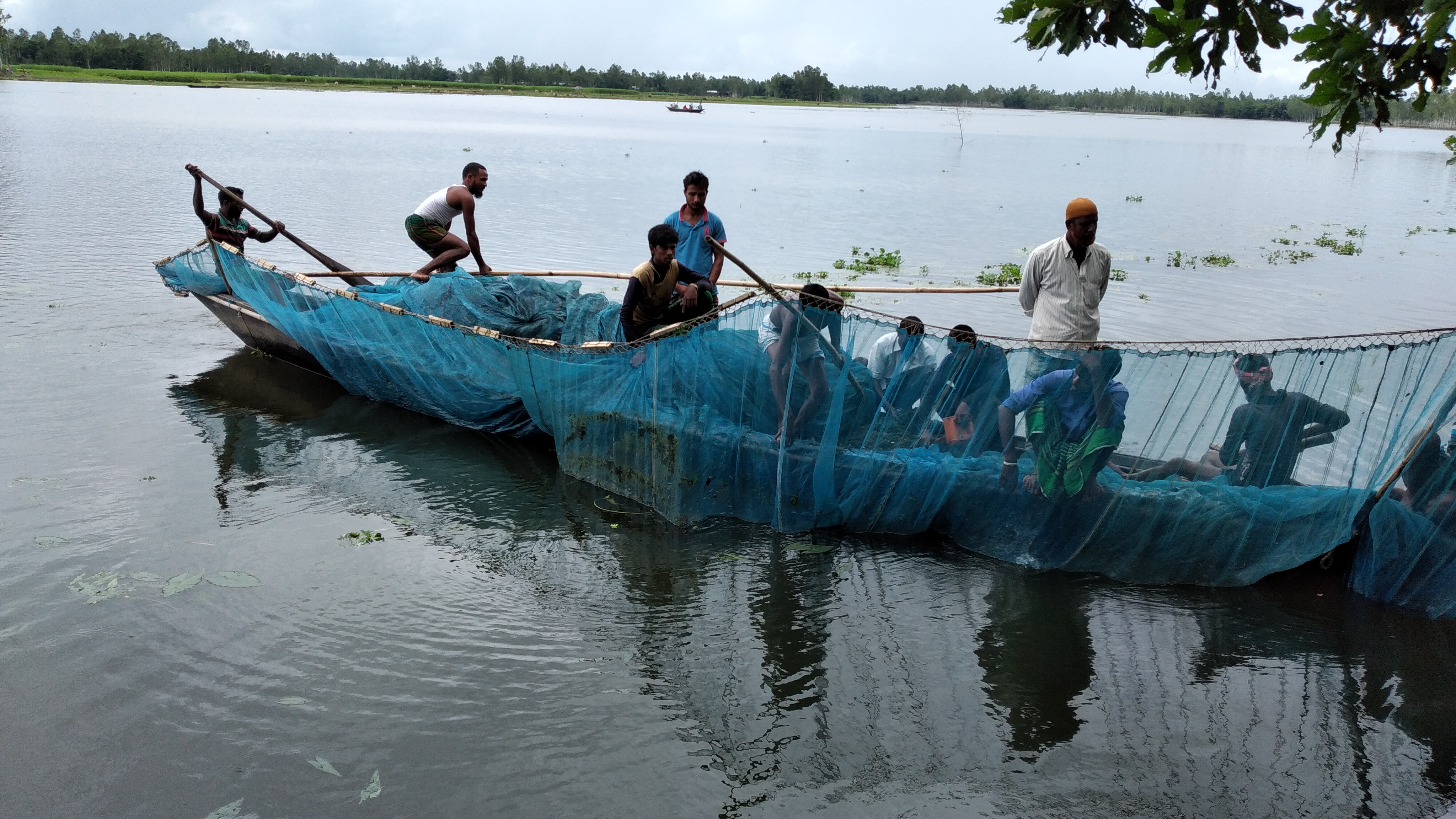 প্রদর্শনী পুকুর