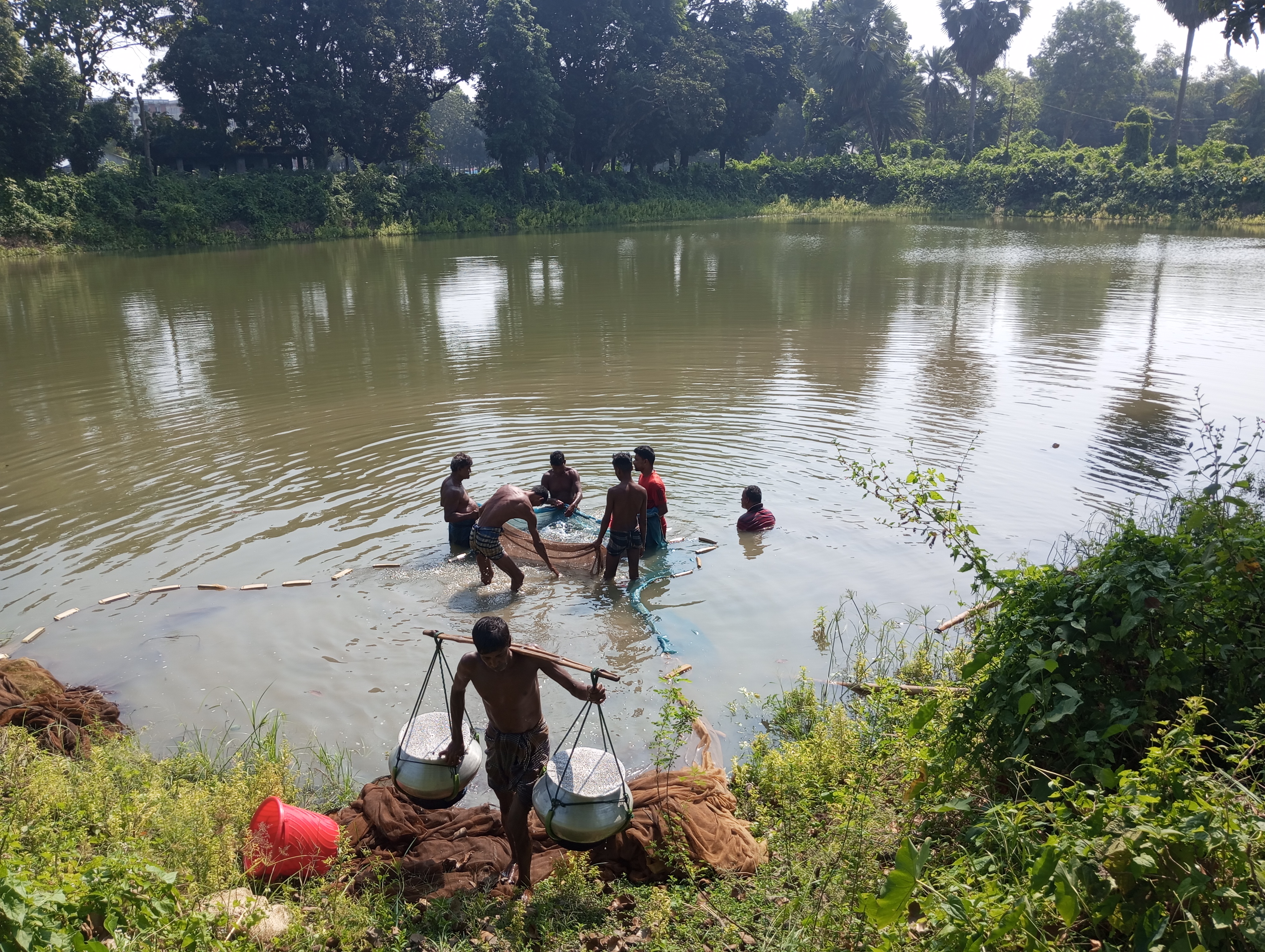 মাছ আহরণ