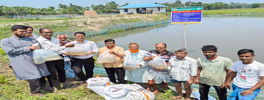 বিল নার্সারী প্রদর্শনী