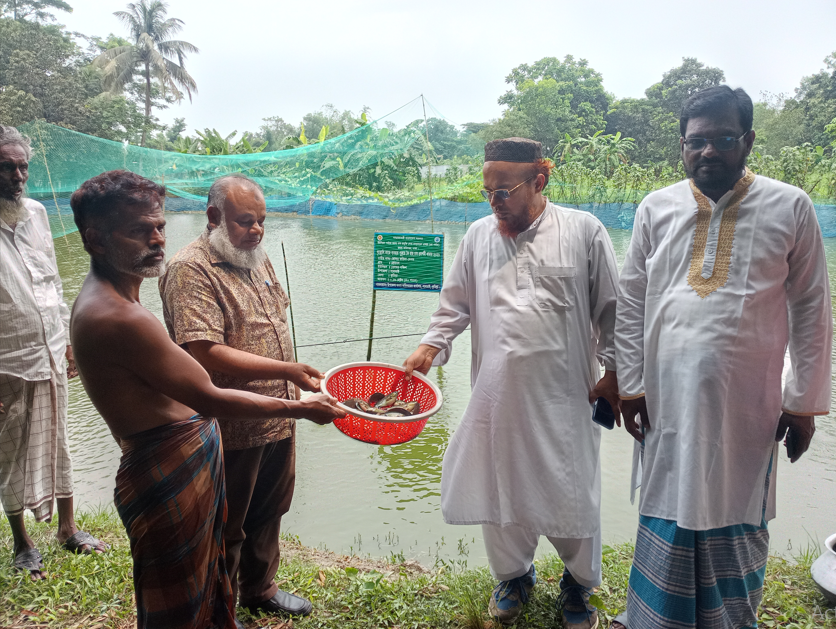 কুমিল্লা জেলা মৎস্য অফিসার জনাব মোহাম্মদ ওয়াহিদুর রহমান মজুমদার স্যার কর্তৃক প্রর্দশনী খামারে মাছের নমুনায়ন