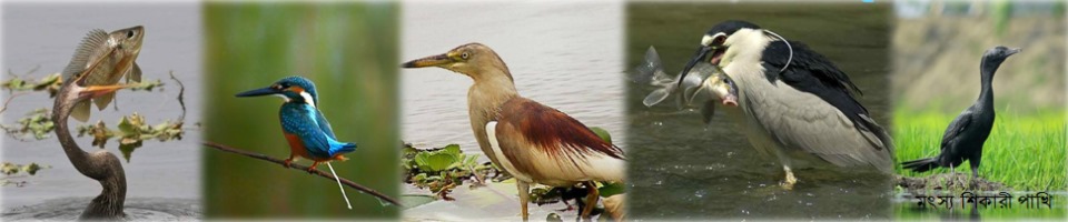 চলনবিলের ব্যানার