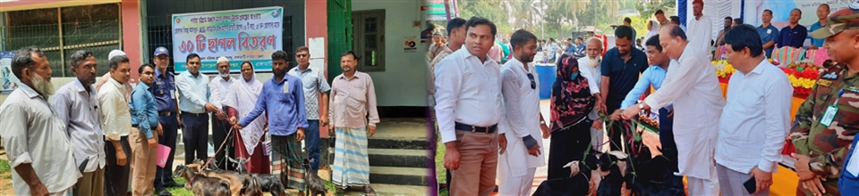 বিকল্প কর্মসংস্থান কর্মসূচি