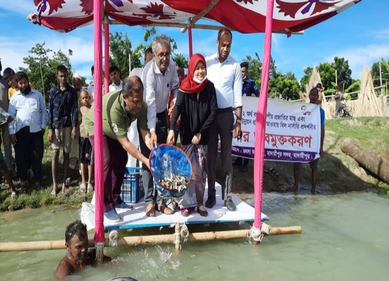 বিল নার্সারিতে উৎপাদিত পোনামাছ অবমুক্তকরণ