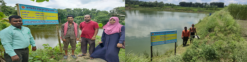 প্রকল্প পরিদর্শন