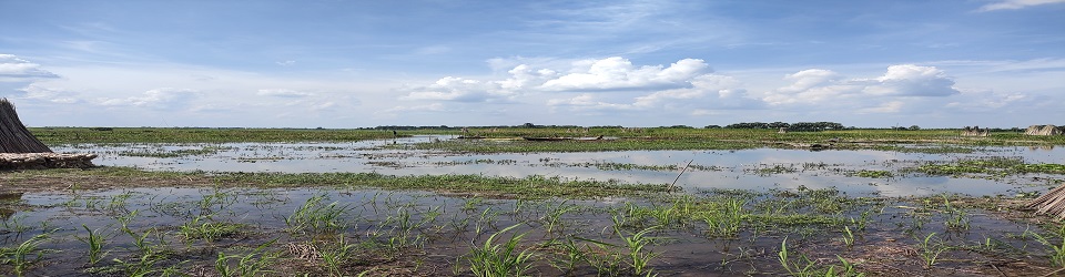 কোরকদি বিল